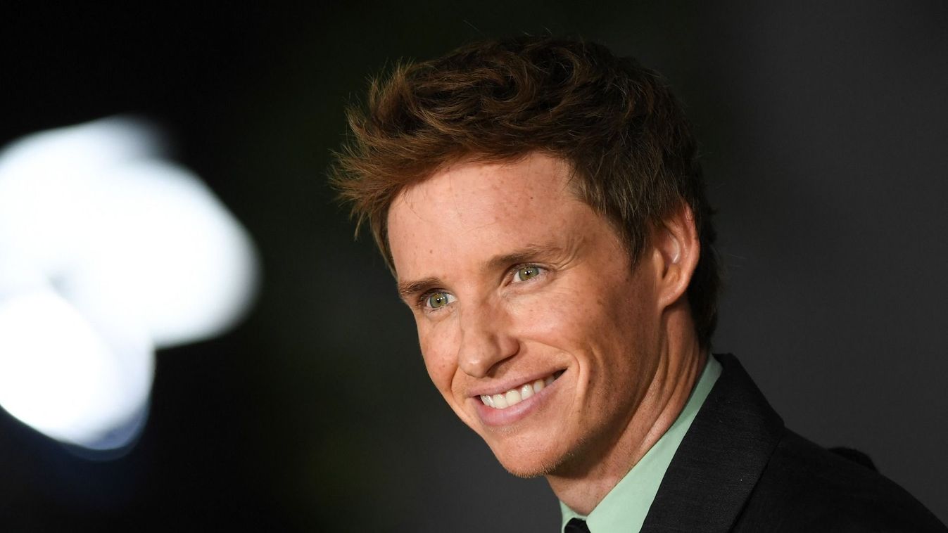 Eddie Redmayne 
